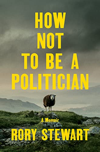 Imagen de archivo de How Not to Be a Politician: A Memoir a la venta por Friends of  Pima County Public Library