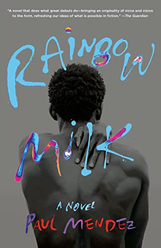 Stock image for Rainbow Milk: A Novel for sale by BooksRun