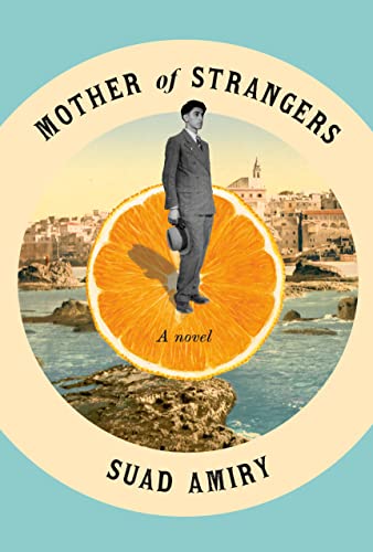 Stock image for Mother of Strangers: A Novel for sale by Irish Booksellers