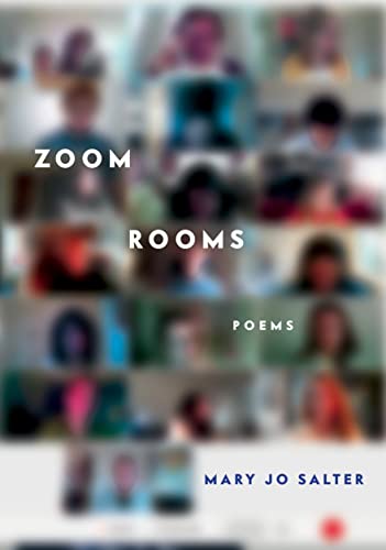 Beispielbild fr Zoom Rooms : Poems zum Verkauf von Better World Books