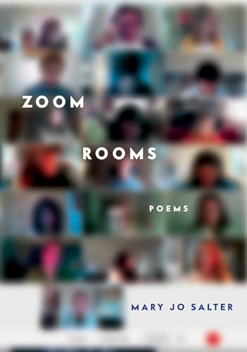 Imagen de archivo de Zoom Rooms : Poems a la venta por Better World Books