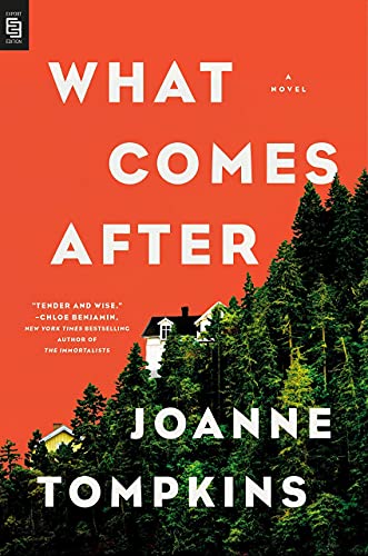 9780593332559: What Comes After: A Novel