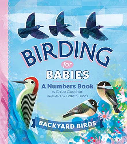 Beispielbild fr Birding for Babies: Backyard Birds : A Numbers Book zum Verkauf von Better World Books