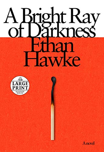 9780593396582: A Bright Ray of Darkness: A novel