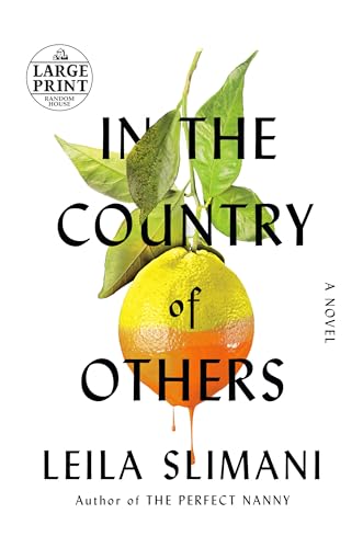 Beispielbild fr In the Country of Others : A Novel zum Verkauf von Better World Books