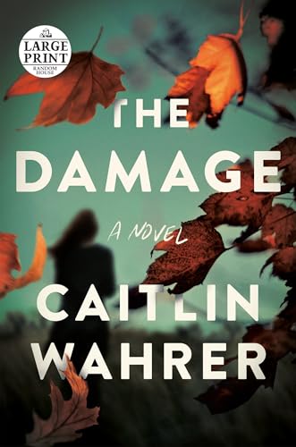 Stock image for The Damage: A Novel (Random House Large Print) for sale by SecondSale