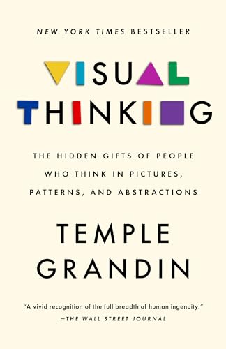 Stock image for Visual Thinking: The Hidden Gifts of People Who Think in Pictures, Patterns, and Abstractions for sale by HPB-Movies