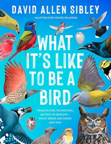 Imagen de archivo de What It's Like to Be a Bird (Adapted for Young Readers): From Flying to Nesting, Eating to Singing--What Birds Are Doing and Why a la venta por BooksRun