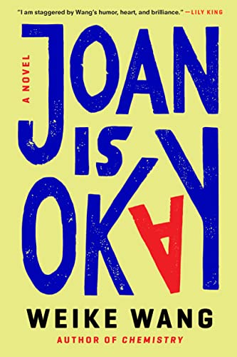 Stock image for Joan Is Okay: A Novel for sale by Books Unplugged