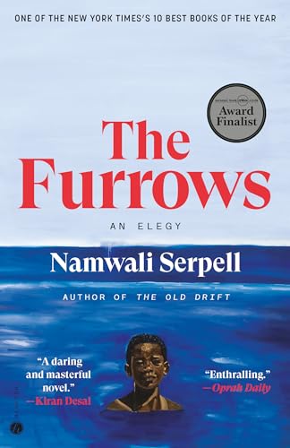 Beispielbild fr The Furrows: A Novel zum Verkauf von BooksRun