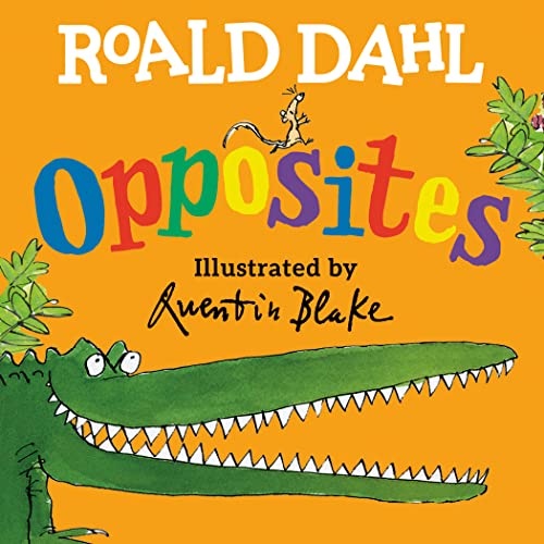 9780593464151: Roald Dahl Opposites