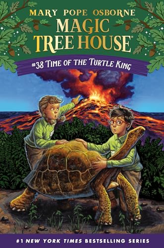 Stock image for Time of the Turtle King for sale by Better World Books: West