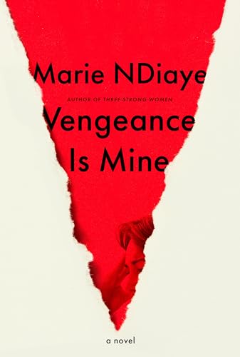 Stock image for Vengeance Is Mine: A novel for sale by More Than Words