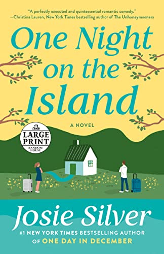 Beispielbild fr One Night on the Island : A Novel zum Verkauf von Better World Books