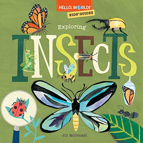 Beispielbild fr Hello, World! Kids' Guides: Exploring Insects zum Verkauf von Better World Books