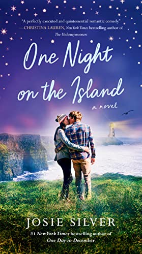 Beispielbild fr One Night on the Island: A Novel zum Verkauf von BooksRun