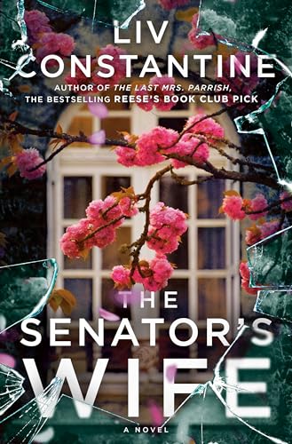 Beispielbild fr The Senator's Wife : A Novel zum Verkauf von Better World Books