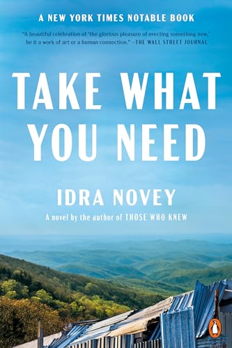 9780593652879: Take What You Need: A Novel