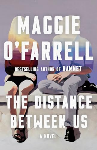 Beispielbild fr The Distance Between Us: A Novel zum Verkauf von Seattle Goodwill