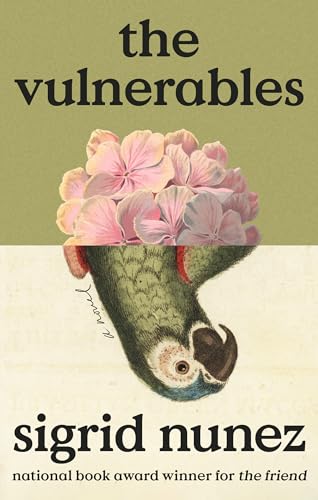 Beispielbild fr The Vulnerables: A Novel zum Verkauf von BooksRun