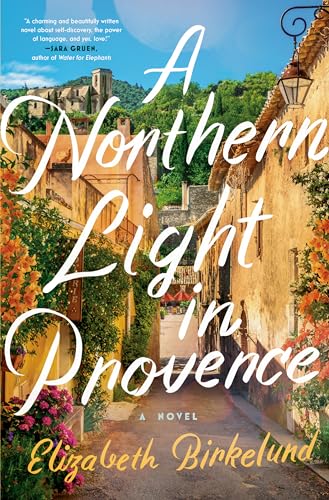 Stock image for A Northern Light in Provence for sale by Blackwell's