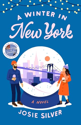 Beispielbild fr A Winter in New York: A Novel zum Verkauf von BooksRun