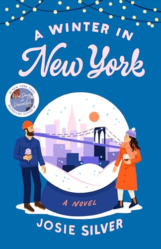 Stock image for A Winter in New York: A Novel for sale by Decluttr