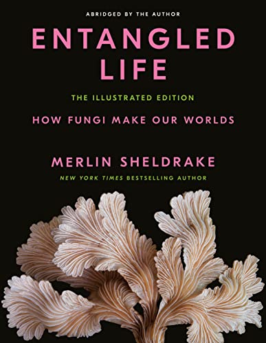 Stock image for Entangled Life: The Illustrated Edition: How Fungi Make Our Worlds for sale by Books Unplugged
