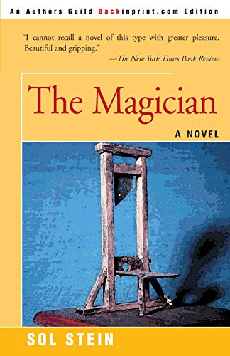 9780595093168: The Magician: A Novel