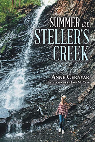 Beispielbild fr Summer at Steller's Creek zum Verkauf von Chiron Media