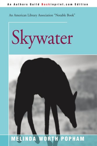 Imagen de archivo de Skywater a la venta por ThriftBooks-Dallas
