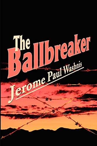 9780595201310: The Ballbreaker