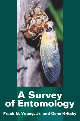 Stock image for A Survey of Entomology for sale by HPB-Red