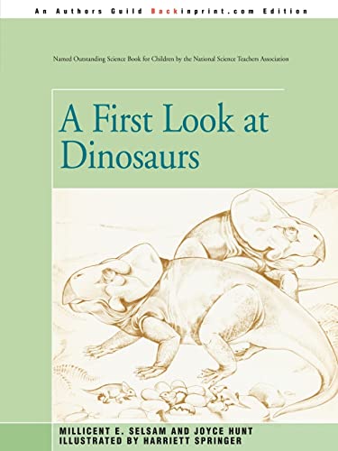 A First Look at Dinosaurs (9780595340538) by Hunt, Joyce