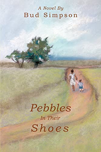 9780595345700: Pebbles In Their Shoes: A Novel