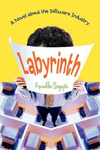 9780595396979: Labyrinth: A Novel about the Software Industry
