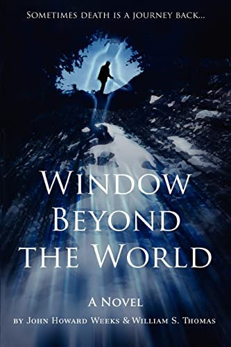 Stock image for Window Beyond the World: Sometimes death is a journey back. for sale by Lucky's Textbooks