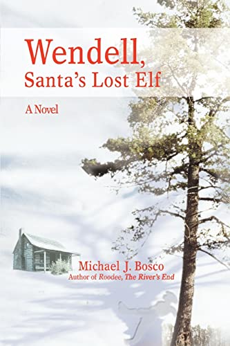 9780595450909: Wendell, Santa's Lost Elf: A Novel