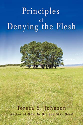 Stock image for Principles of Denying the Flesh for sale by Chiron Media