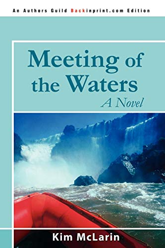 Beispielbild fr Meeting of the Waters : A Novel zum Verkauf von Better World Books