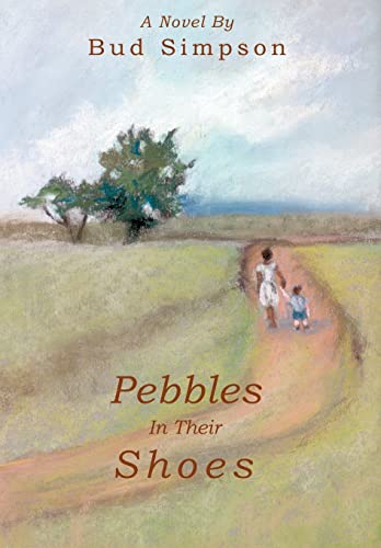 9780595794096: Pebbles In Their Shoes: A Novel