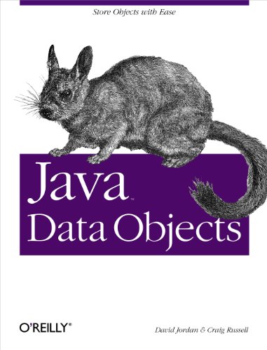 Imagen de archivo de Java Data Objects: Store Objects with Ease a la venta por SecondSale