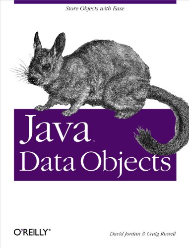 Stock image for Java Data Objects: Store Objects with Ease for sale by SecondSale