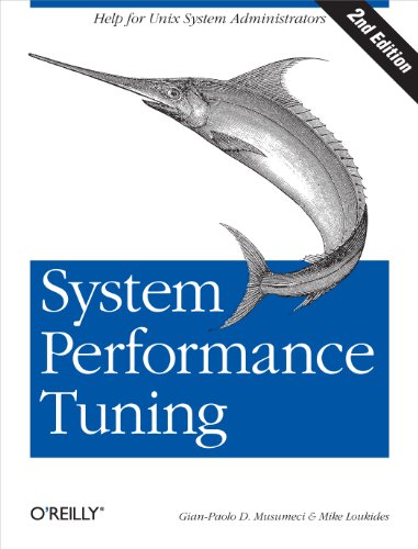 Imagen de archivo de System Performance Tuning a la venta por ThriftBooks-Atlanta