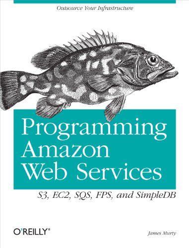 Beispielbild fr Programming Amazon Web Services: S3, EC2, SQS, FPS, and SimpleDB zum Verkauf von Wonder Book