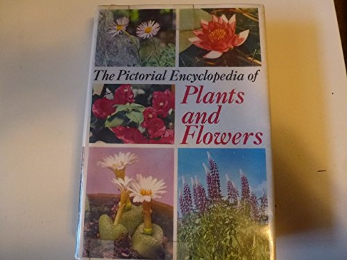 Beispielbild fr Pictorial Encyclopaedia of Plants and Flowers zum Verkauf von Better World Books