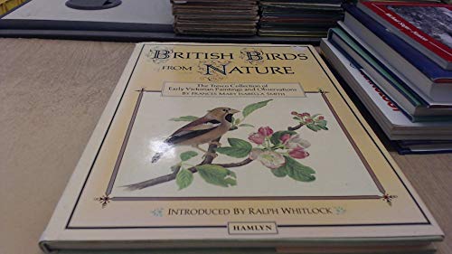 Imagen de archivo de British Birds from Nature : The Tresco Collection of Early Victorian Paintings and Observations a la venta por Richard Sylvanus Williams (Est 1976)