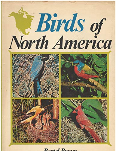 Beispielbild fr Birds of North America zum Verkauf von Wonder Book