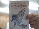 Imagen de archivo de Birds of Prey of Britain and Europe (Concise Guides in Colour) a la venta por The London Bookworm