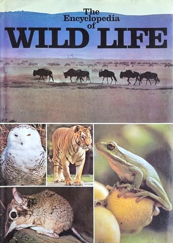 Stock image for Encyclopaedia of Wild Life (A Salamander book) for sale by RIVERLEE BOOKS